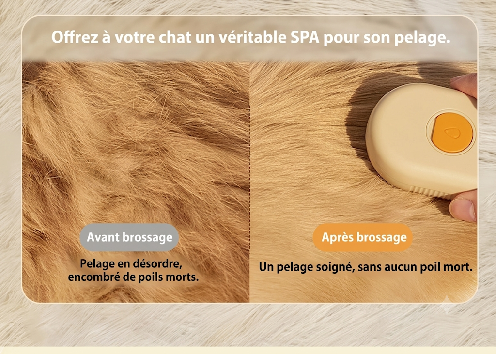 Brosse chat vapeur FluffMaster - avant apres brossage